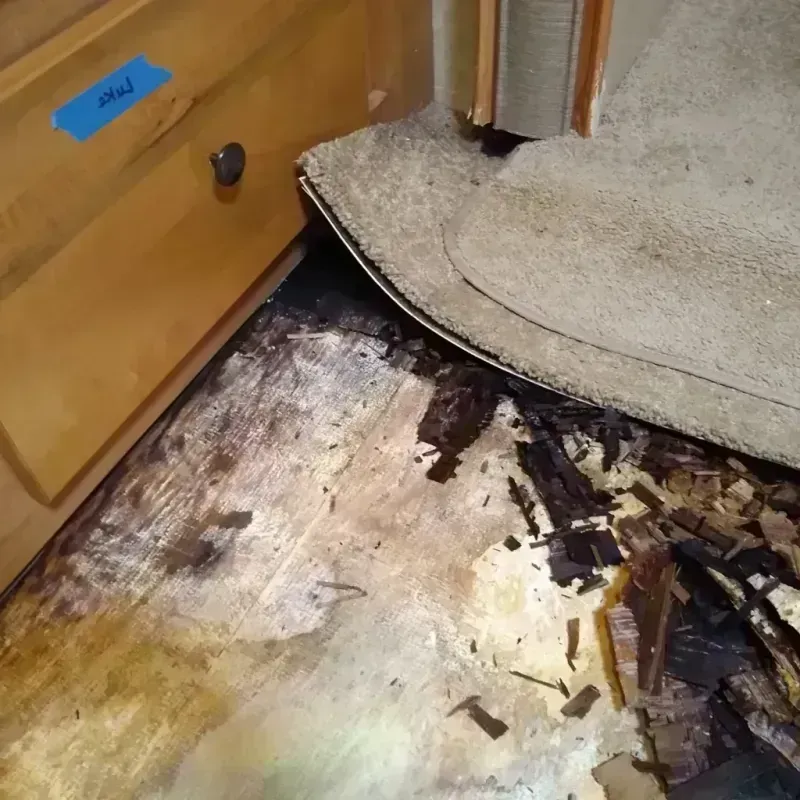 Wood Floor Water Damage in Darien, IL